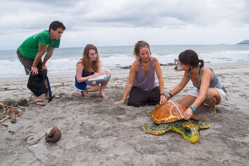 Les meilleures destinations pour un volontariat humanitaire écologique